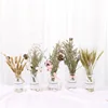 Dry flower set glass bottle photography studio decoration Selfie vase posing props flower