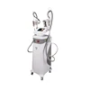 4 IN 1 Cavitation RF Cryolipolysis Weight Losing Equipment with CE