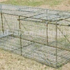 Factory Sale Practical Strong Reusable Medium Live Animal Cage Trap