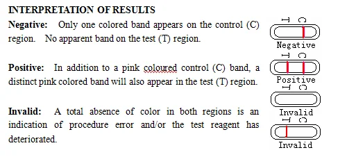hcv antibody test strip