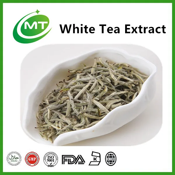 Organic White Tea Powder Camellia Sinensis Leaf Extract White Tea Extract Buy White Tea Extract White Tea Powder White Tea Product On Alibaba Com