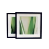 12x12 Walnut Shadow Box Plexiglass Printed 50 Inch Green Tree Galleri Photo Painting Picture Frame