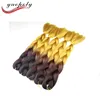 24'' 100g Two Colored Synthetic Hair Jumbo Braiding Expressions Hair For Braiding