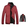 Factory Wholesale High Quality 100% Polyester Colour Winter Mens Down Jacket