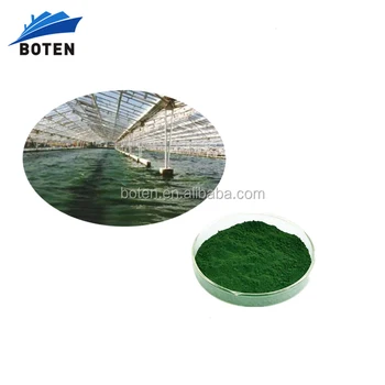 spirulina capsulas para adelgazar