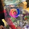 Super Quality Single Preserved Rose With Stem For Decoration