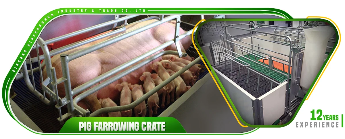 Pig farm equipment farrowing crates... 