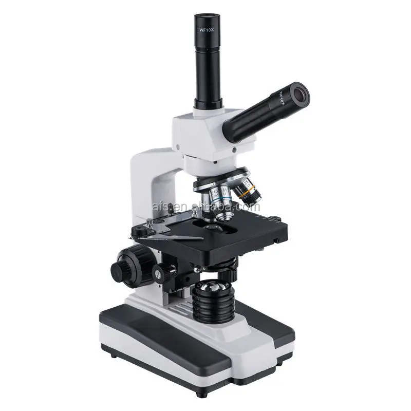 multi head microscope