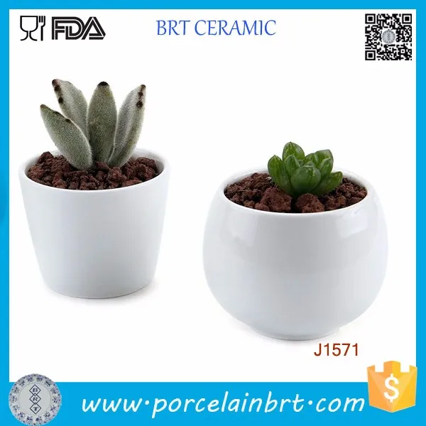 Cheap Small Size Ceramic White Plant Flower Pots Buy Flower Pots