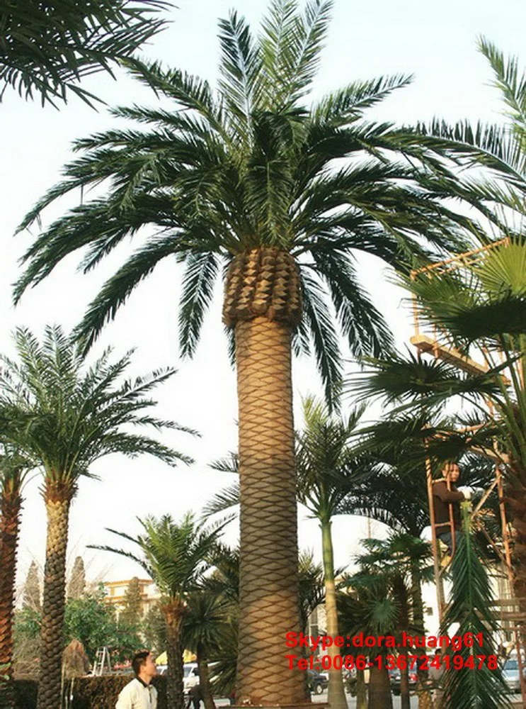 palme artificiali vendita palme artificiali vendita