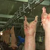 Modern Pork Slaughterhouse Equipment For Meat Butcher Abattoir