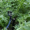 Solar power with timer type automatic garden watering spray system irrigation system drip garden irrigation