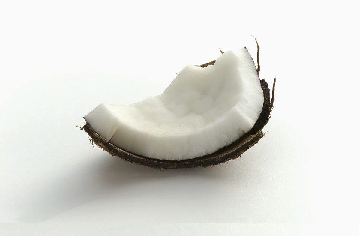 Coconut milk powder (7).jpg