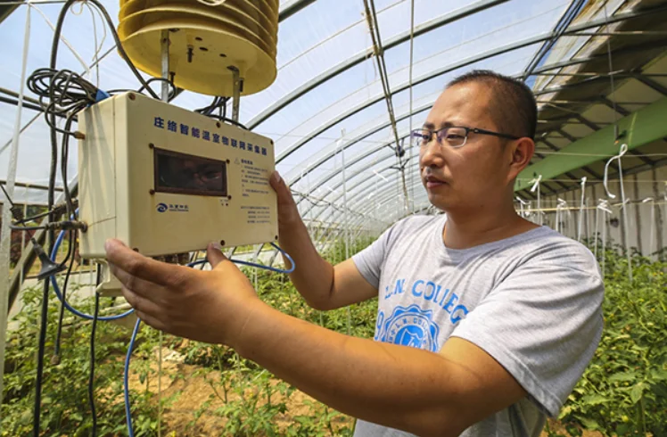 greenhouse control unit