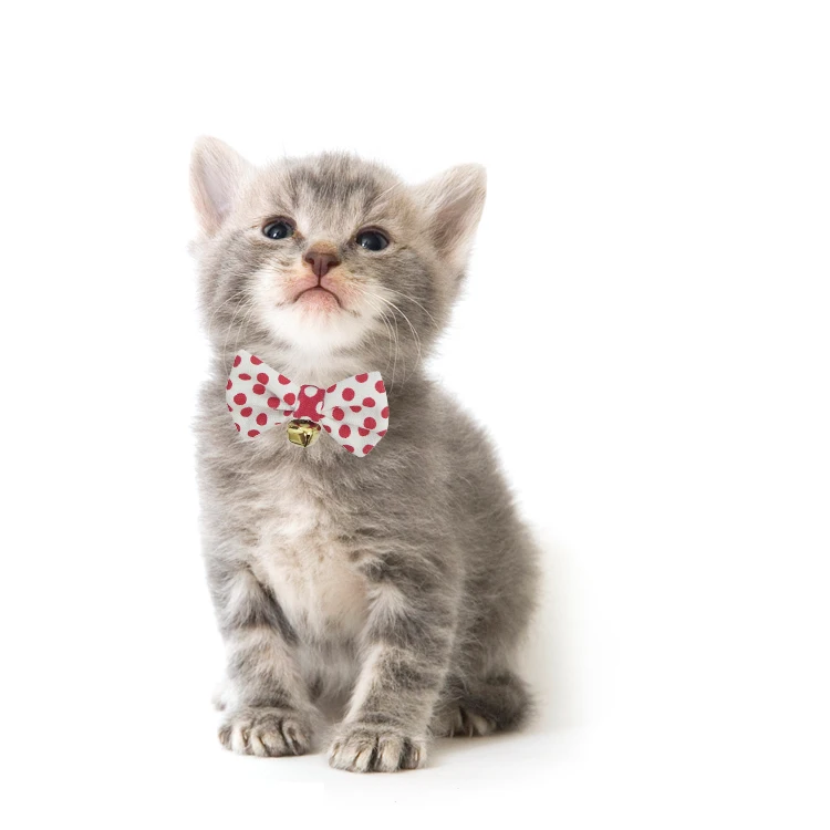 cat bow ties for sale