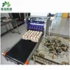 Best selling and good quality Eggs crystal jet printer/egg code printing machine/Automatic Egg Printing Machine