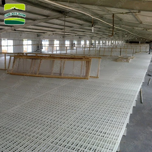 Animal Husbandry Equipment Slat Floor System Chicken Coop Design