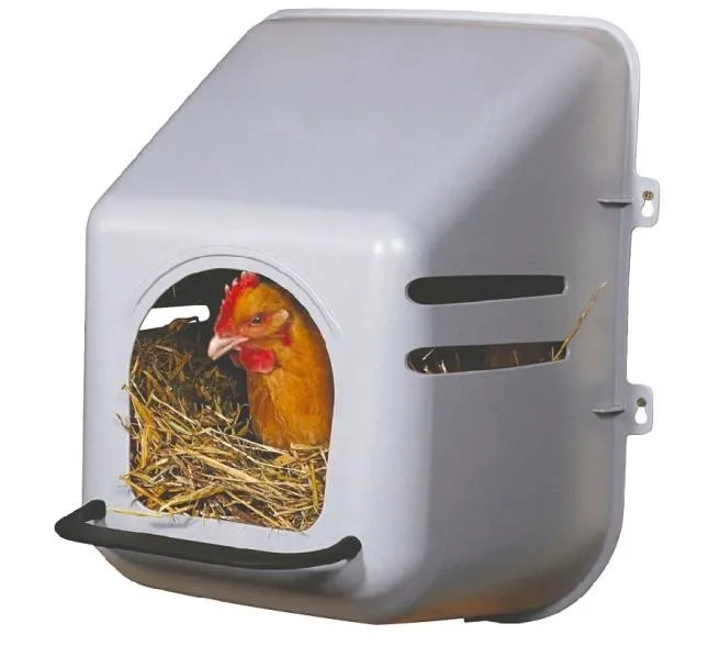 Nesting Box Egg Laying Box Poultry Egg Laying Buy Laying Box,Chicken