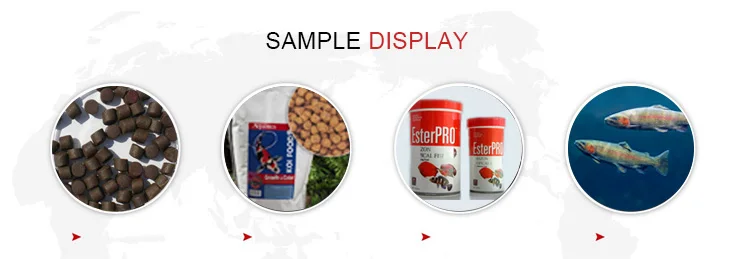 Automatic floating extruder fish food making machine