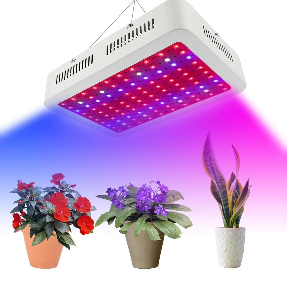 600w Full Spectrum Super Bright Indoor Greenhouse Plant Grow Light Led ...