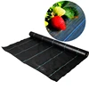 China Agriculture PP Woven weed Control Ground Cover mat for stop grass growing