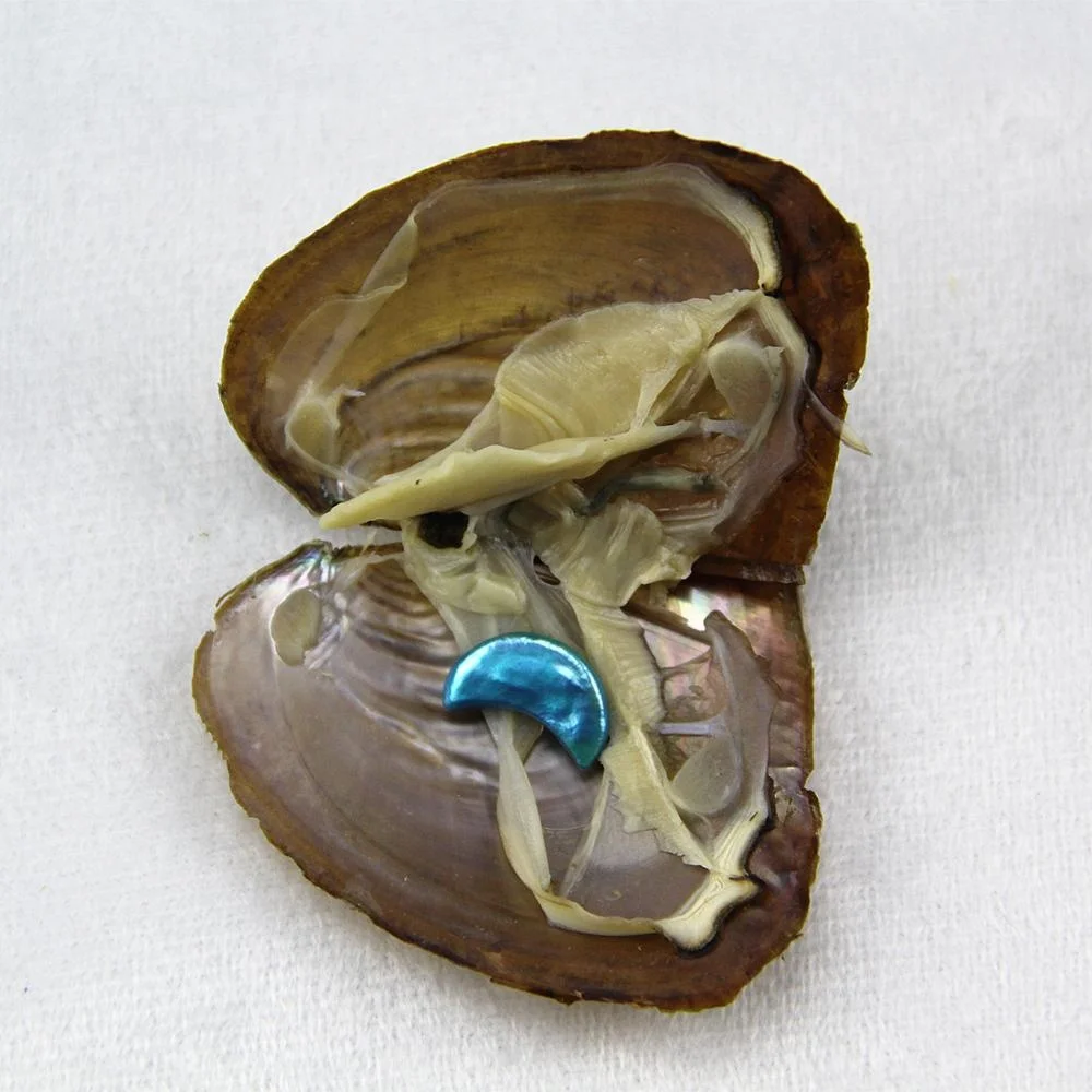 Wholesale Oyster Shells With Pearl,1017mm Baroque Natural Pearl,Moon