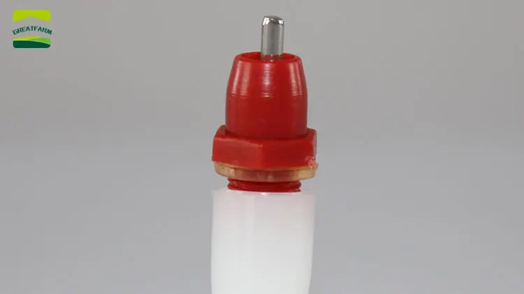 Popular chicken waterer automatic low price