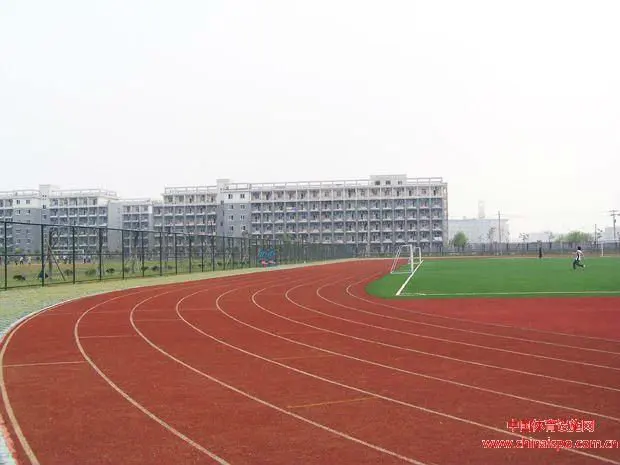 iron oxide red inorganic pigment for painting cement,concrete,glass,rubber red iron oxide CAS NO.: 1309-37-1