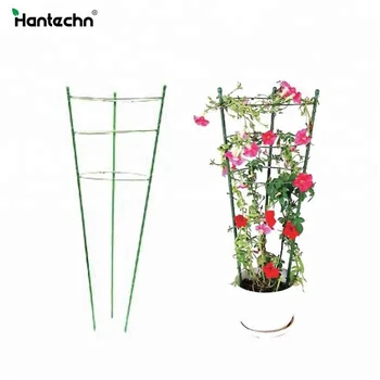 plant support cage flower coconut decorative garden sticks gardening cheap round rings sales larger