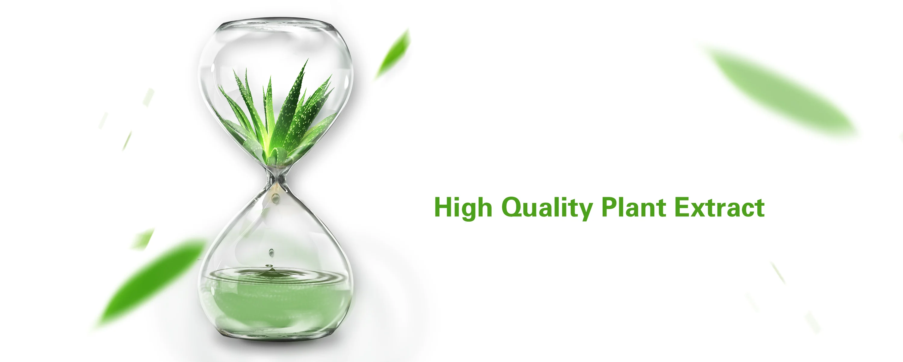 Natural Corn Extract Rs3 Mylose Extract Powder Dietary Supplement Buy