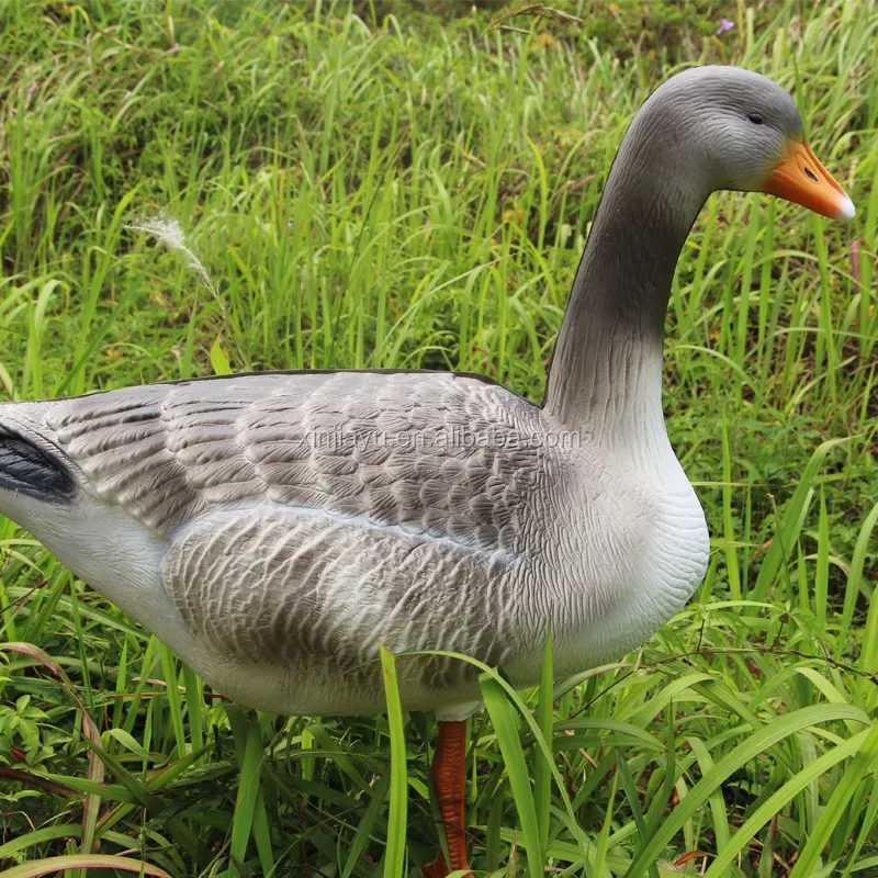 Goose Decoys For Sale >> Wholesale Xpe Eva Foam Fullbody Sentry Greylag Goose Decoys From China Factory Direct Sale View Wholesale Goose Decoys Roadsport Product Details Goose Decoys For Sale >> Wholesale Xpe Eva Foam Fullbody Sentry Greylag Goose Decoys From China Factory Direct Sale View Wholesale Goose Decoys Roadsport Product Details