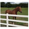 Australian ranch paddock style Vinyl post and rail horse fence