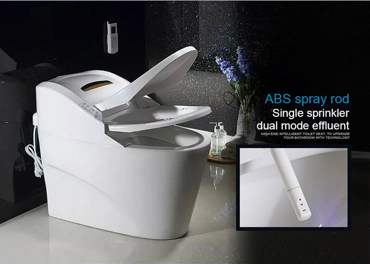 modern style automatic intelligent pregnant woman toilet