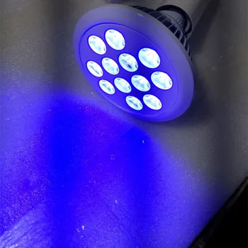 blue led light bulbs