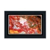 New design decorative picture modern red botanical print photo pretty leaves painting