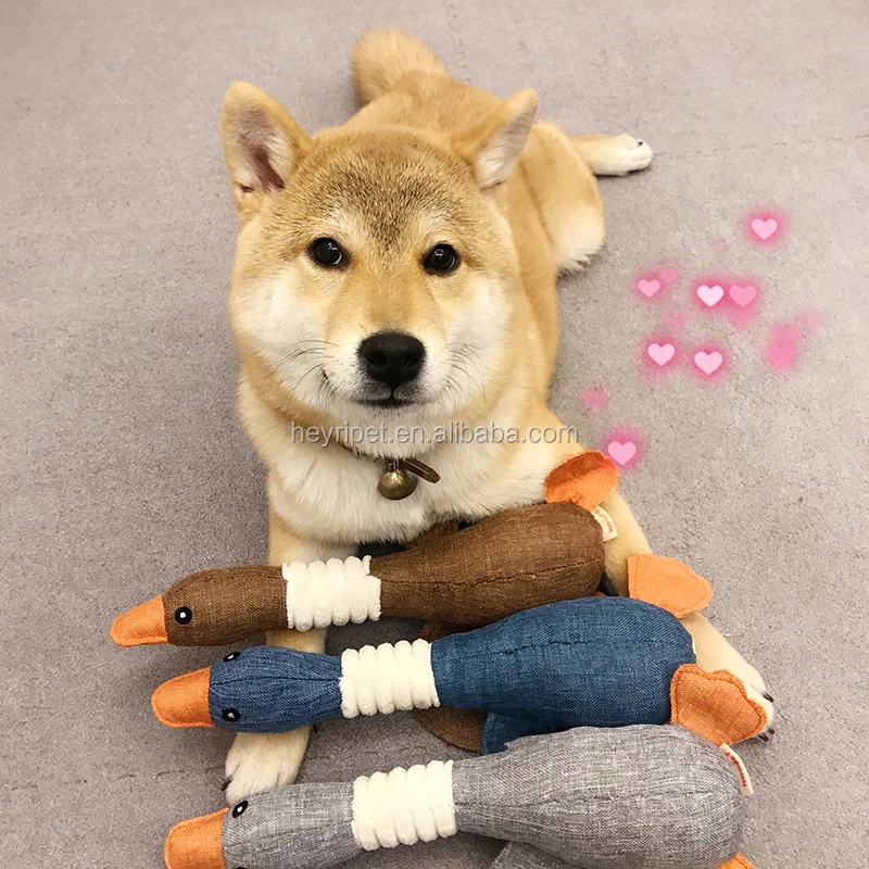 dog chew toy22.jpg