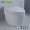 Bathroom sanitary ware one piece electronic auto washing toilet 110 voltage smart toilet