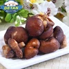 DETAN VF Snacks-Vacuum Fried Shiitake Mushroom Chips