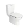 WC bathroom Strap water closet concealed cistern toilet Floor mounted Toilet Bowl Water Saving Closet Toilet in South America
