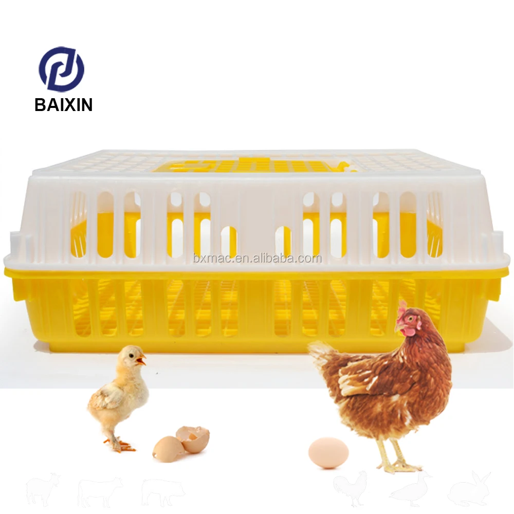 Plastic Crate For Chicken Delivery(779