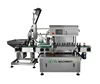 Linear Plastic Bottle Cap Sealing Machine Manufacturers For Lid Cover Capper Machinery