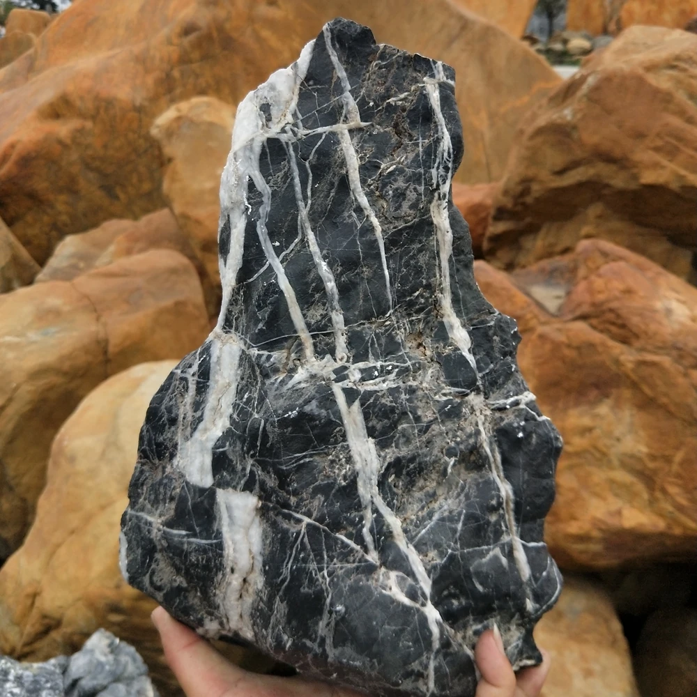 Aquascapng Rock Dragon Stone Aquascape Aquarum
