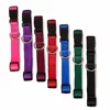 Classic Adjustable Dog Collar -For Small, Medium and Large Dogs--Give Your Dog Needed Comfort