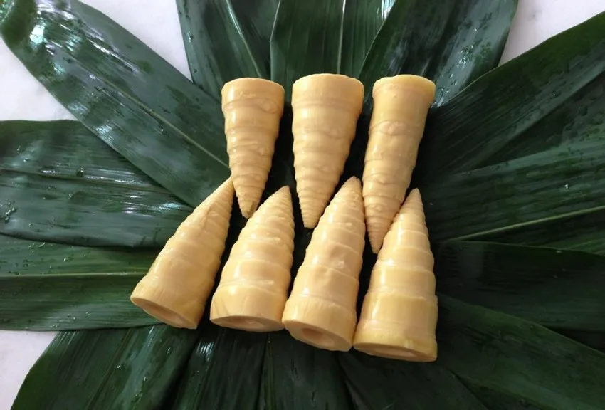 Canned Bamboo Shoot Tips In Brine Buy Canned Bamboo Shoots Tips In