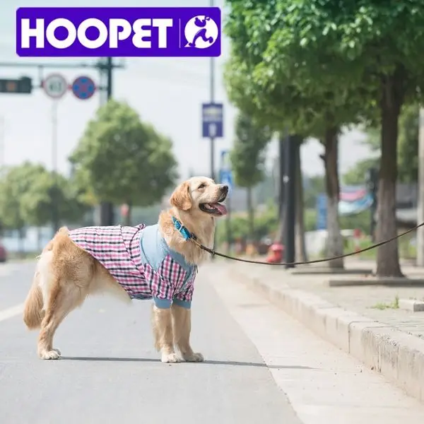 dog clothing stores