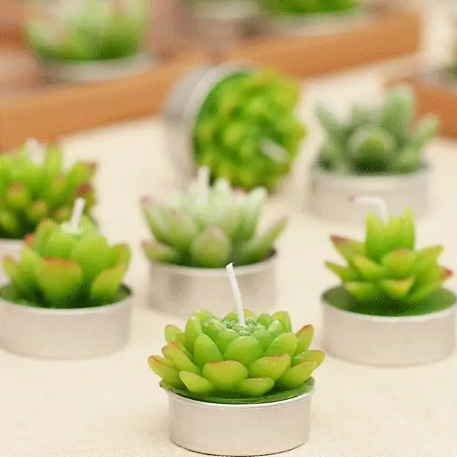 Succulent Shape Pure Paraffin Wax Home Decoration Art Craft Candle