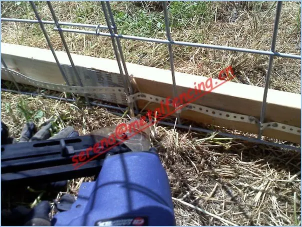 weld cattle panel(4).jpg