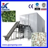 Brocoli Cauliflower IQF Fluidized Quick Freezing Machine