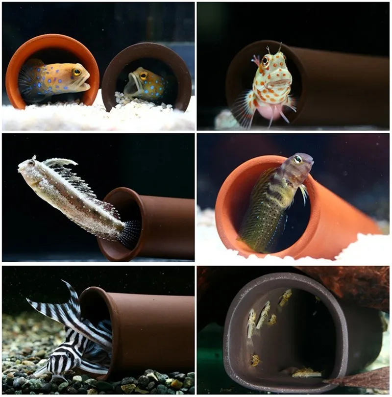 053 Aquarium Red Cherry Bee Shrimp Spawning Breeding Cave Buy