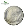 Wellgreen supply best price bulk beta cyclodextrin,beta-cyclodextrin